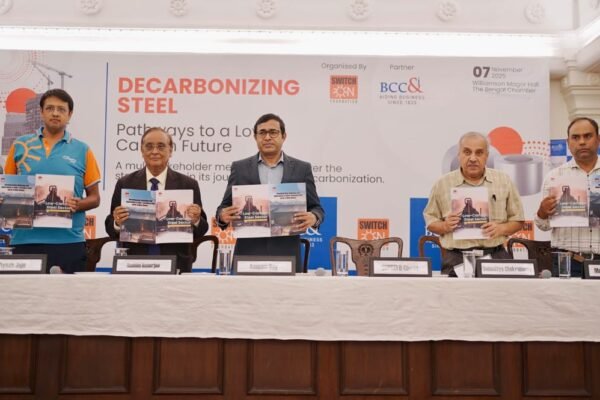 Decarbonizing Steel: Pathways to a Low-Carbon Future